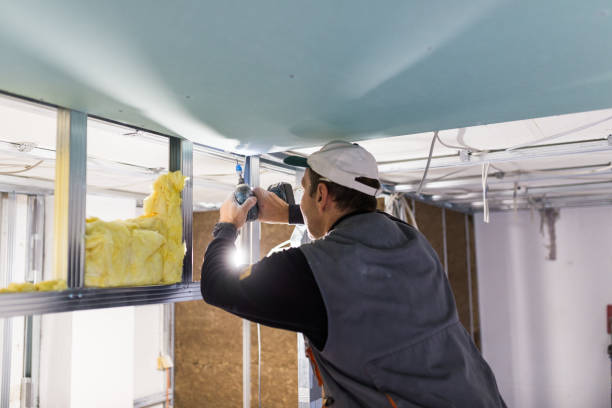 Best Pipe and Duct Insulation  in Lower Grand Lagoon, FL